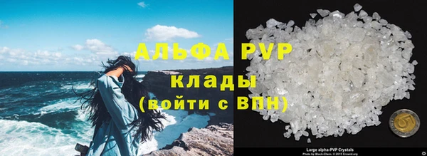 спайс Пересвет