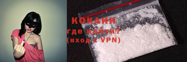 спайс Пересвет