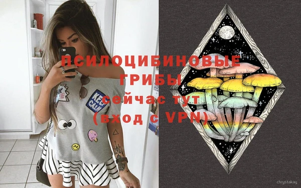 jwh Осинники