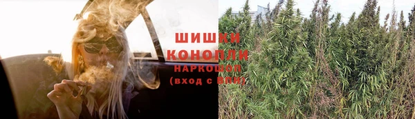 скорость Пестово